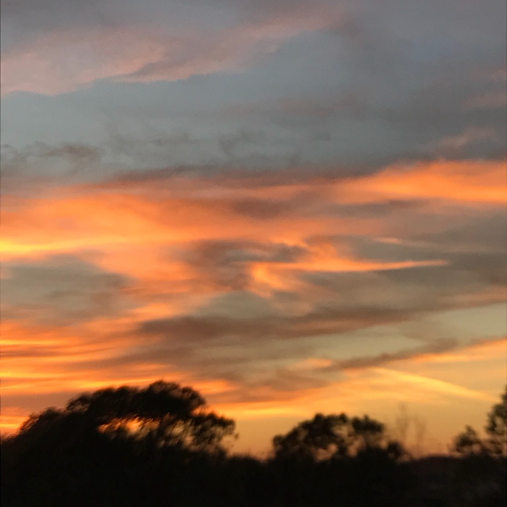 Meet your Posher, Ysabel